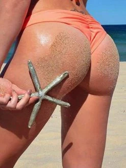 Dollboxx Flaunt It Cheeky Bottoms - Orange Pop -Swimwear Sales Store Flaunt It Cheeky Bottoms Orange Pop Swimwear dollboxx 3 4e2c13fe 7c18 4022 8603 0a56a87aea62